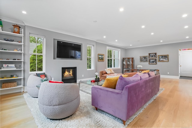 60 Eleanor Ter, Fairfield, CT 06824 - living room featuring light wood finished floors, recessed lighting, a glass covered fireplace, ornamental molding, and baseboards