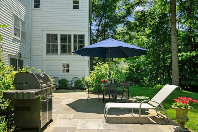 view of patio / terrace featuring area for grilling and outdoor dining area