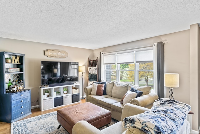 living area featuring a textured ceiling and wood finished floors