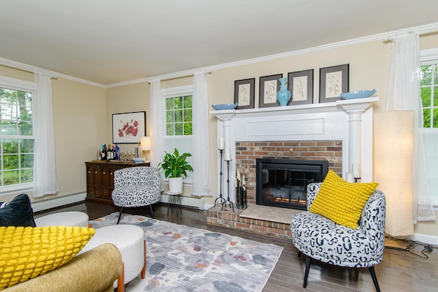 104 Pulpit Rock Rd, Woodstock, CT 06281 - living area with wood finished floors, a baseboard radiator, ornamental molding, and a brick fireplace