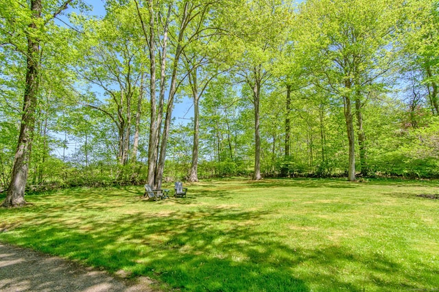 104 Pulpit Rock Rd, Woodstock, CT 06281 - view of green lawn