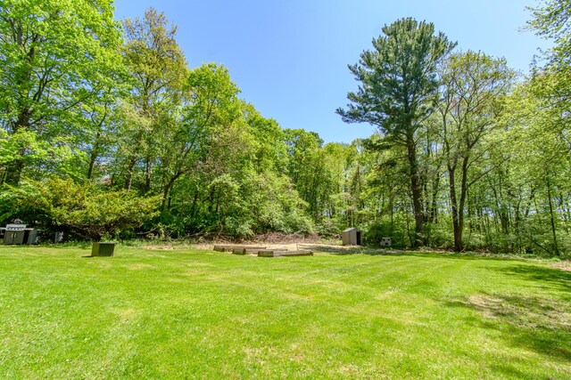 104 Pulpit Rock Rd, Woodstock, CT 06281 - view of green lawn with a storage shed