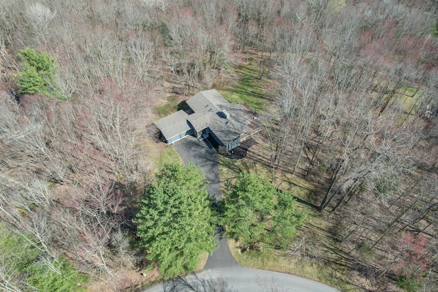 187 Sherbrook Dr, Goshen, CT 06756 - aerial view