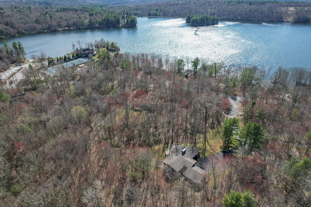 187 Sherbrook Dr, Goshen, CT 06756 - bird's eye view featuring a water view and a view of trees