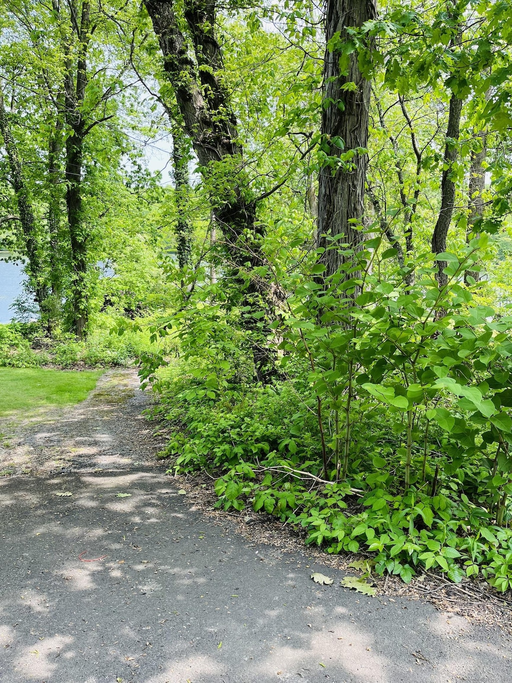 440 Lake Shore Dr, Middlebury, CT 06762 - photo 2