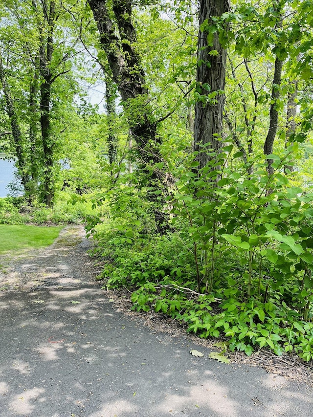440 Lake Shore Dr, Middlebury, CT 06762 - photo 2