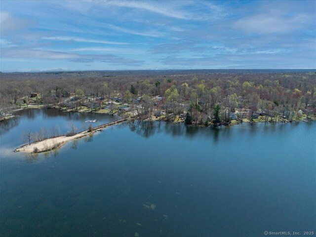 bird's eye view with a water view and a forest view