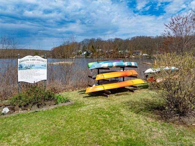 dock area with a wooded view and a yard