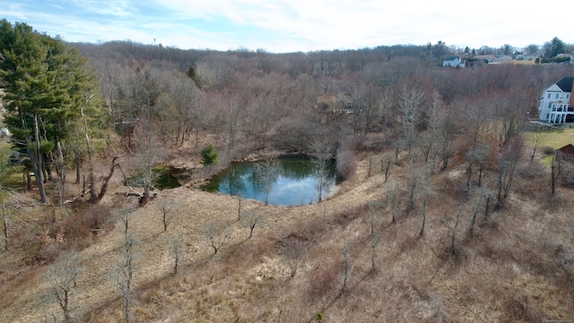 1617 New London Tpke, Glastonbury, CT 06033 - water view with a heavily wooded area