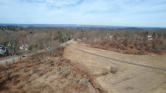 1617 New London Tpke, Glastonbury, CT 06033 - aerial view of property and surrounding area featuring rural landscape