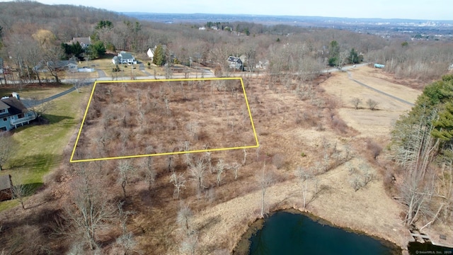 1617 New London Tpke, Glastonbury, CT 06033 - view of rural area featuring property boundaries highlighted and a large body of water