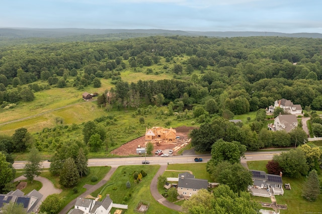 1617 New London Tpke, Glastonbury, CT 06033 - bird's eye view of a heavily wooded area
