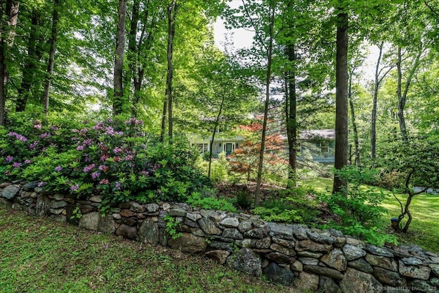 12 Winding Brook Ln, Redding, CT 06896 - view of yard featuring a wooded view