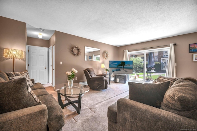 carpeted living room with a textured ceiling