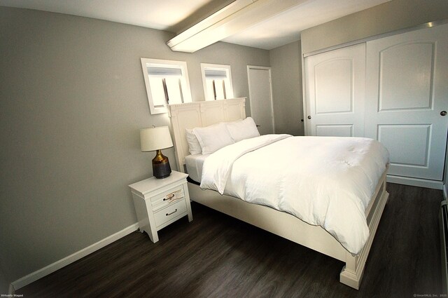 12 W Point Rd, East Hampton, CT 06424 - bedroom with baseboards, dark wood finished floors, and a closet