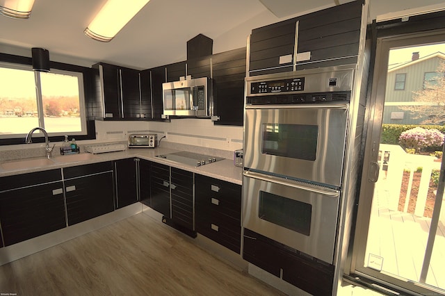 12 W Point Rd, East Hampton, CT 06424 - kitchen featuring wood finished floors, a toaster, dark cabinets, a sink, and appliances with stainless steel finishes