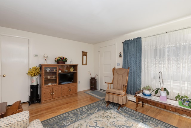 living room with light wood-type flooring