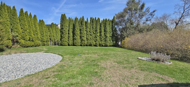 view of yard