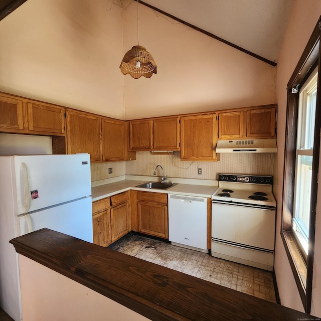 kitchen with white appliances, brown cabinets, under cabinet range hood, and a sink