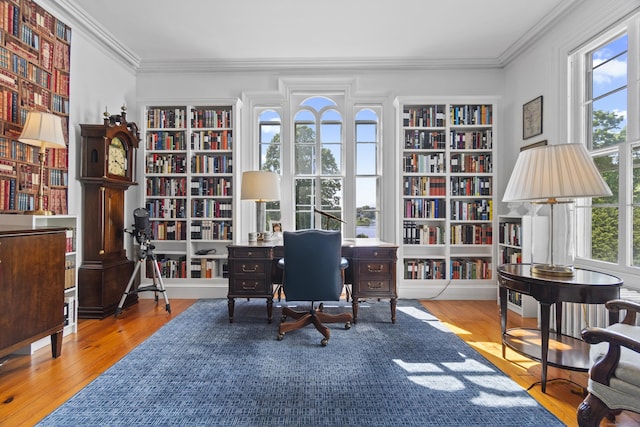 259 N Main St, Stonington, CT 06378 - office space with wall of books, crown molding, wood finished floors, and built in shelves