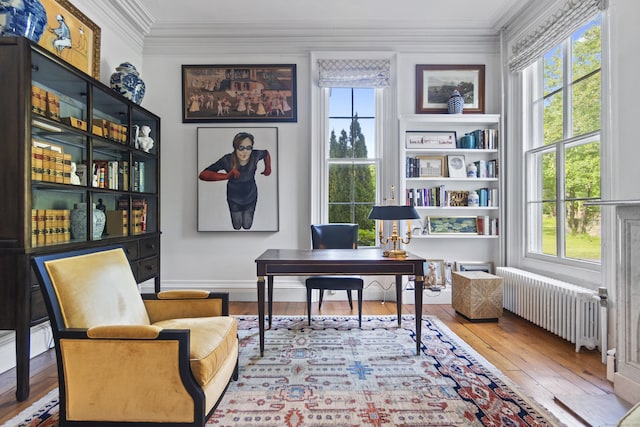 259 N Main St, Stonington, CT 06378 - office featuring radiator, hardwood / wood-style floors, and crown molding