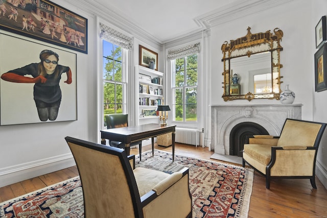 259 N Main St, Stonington, CT 06378 - office space featuring radiator, wood-type flooring, crown molding, and a fireplace