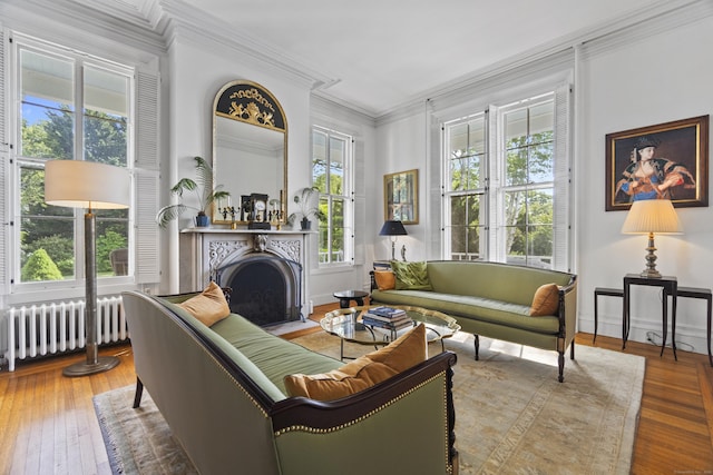 259 N Main St, Stonington, CT 06378 - living room featuring radiator, hardwood / wood-style flooring, ornamental molding, and a fireplace with flush hearth