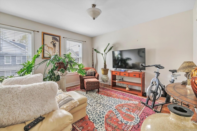 living area featuring baseboards, plenty of natural light, and wood finished floors