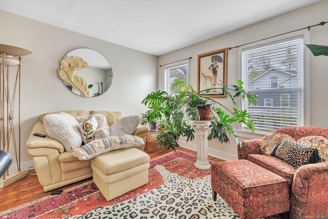 living room with baseboards and wood finished floors