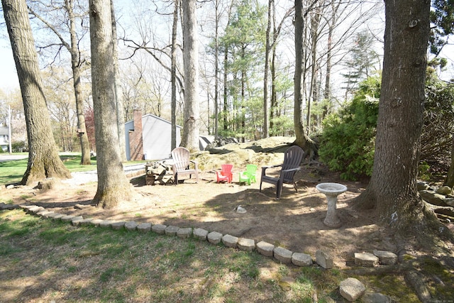 view of yard featuring a patio, a storage unit, and an outbuilding