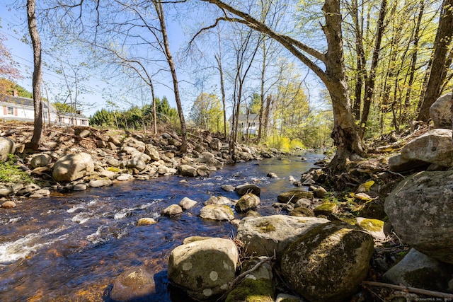 view of local wilderness