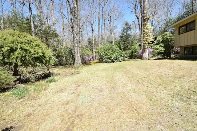 view of yard