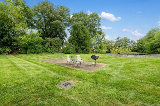 view of yard featuring a patio