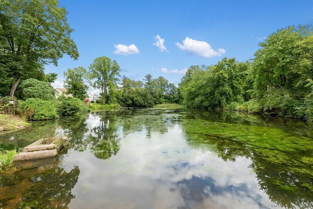 property view of water with a forest view