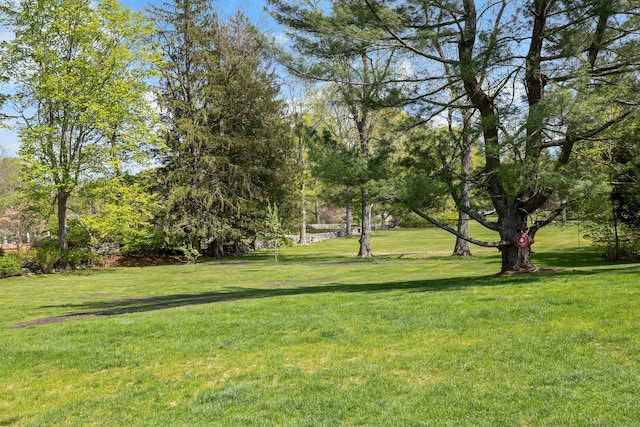35 Old Redding Rd, Easton, CT 06612 - view of green lawn