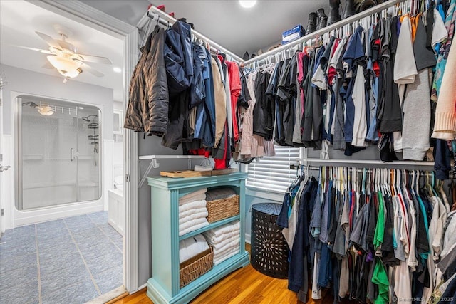 walk in closet featuring ceiling fan and wood finished floors