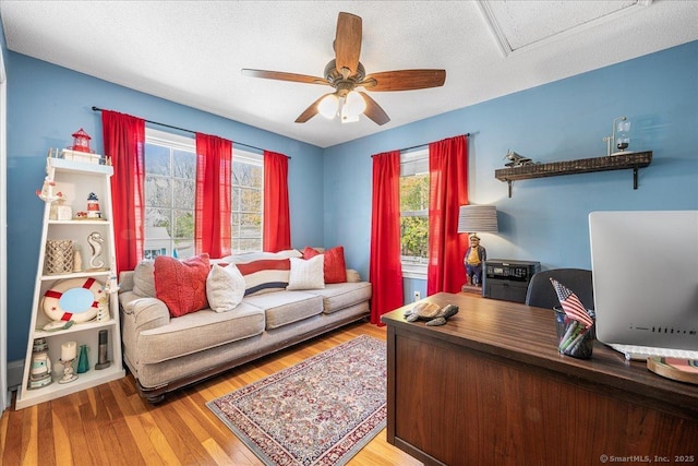 home office with attic access, a ceiling fan, a wealth of natural light, and light wood-type flooring