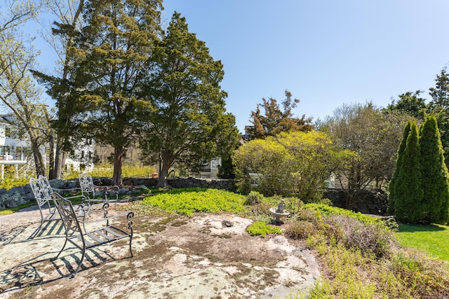 view of yard featuring a patio area