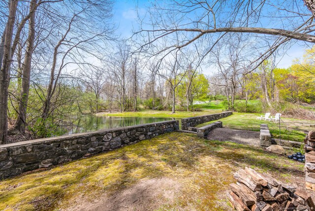 view of yard with a water view