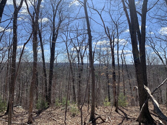 89 Crystal Lake Rd Unit T7, Ellington, CT 06029 - photo 4