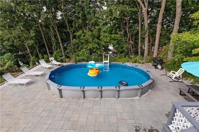 view of swimming pool with a patio area and a jacuzzi