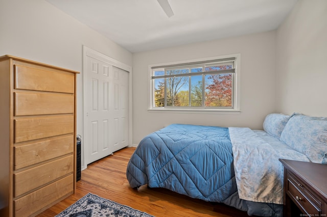 9 Berkshire Dr, Danbury, CT 06811 - bedroom featuring a closet, ceiling fan, and light wood-type flooring