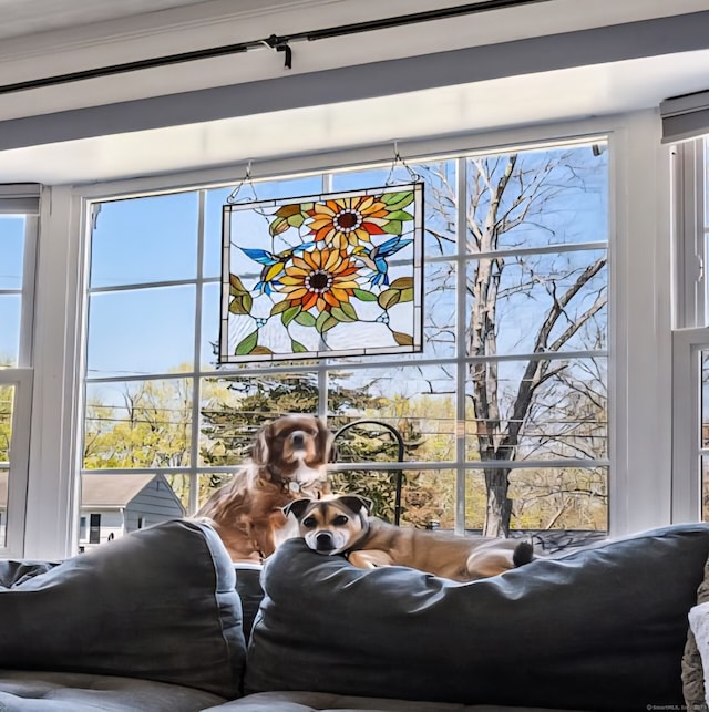 9 Berkshire Dr, Danbury, CT 06811 - view of room details