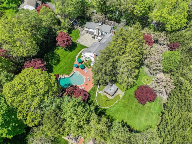 bird's eye view