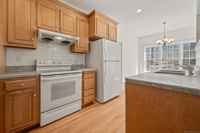 kitchen with white appliances, decorative backsplash, under cabinet range hood, light wood finished floors, and a sink