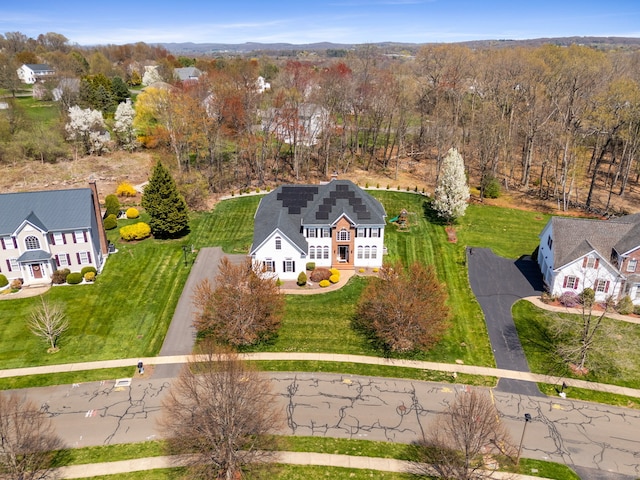 drone / aerial view