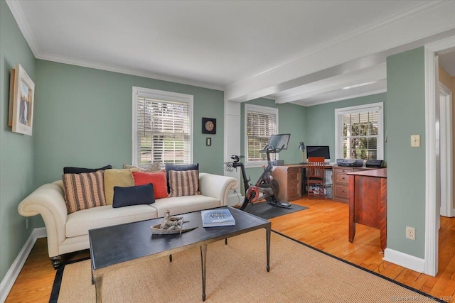 496 Foote Rd, Glastonbury, CT 06073 - living area featuring a healthy amount of sunlight, crown molding, and light wood-style flooring