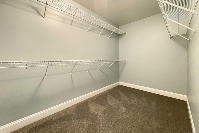 spacious closet with dark colored carpet