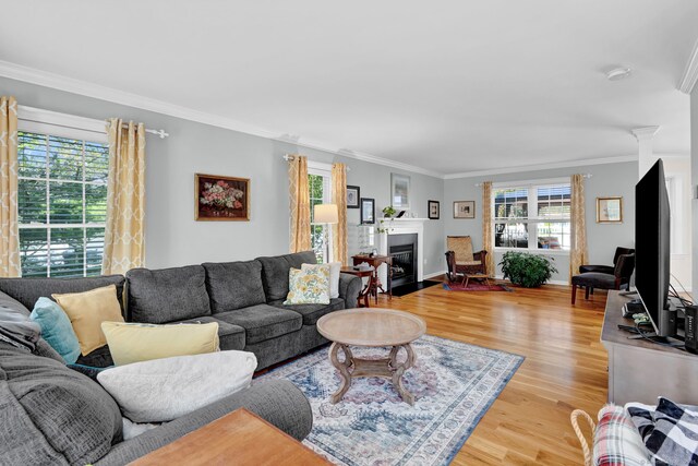 living room with crown molding, a fireplace with flush hearth, light wood-style floors, and baseboards