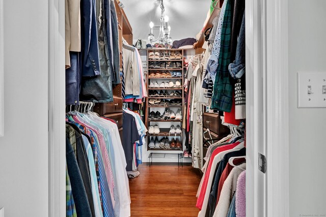 spacious closet featuring wood finished floors
